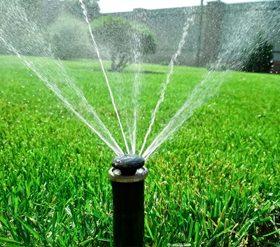 Landscaping Specialists Cape Town