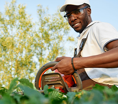 Landscaping Specialists Cape Town